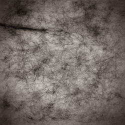 Similar image 8087275