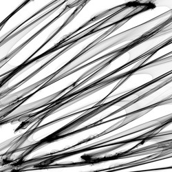 Similar image 8087276