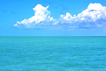 Similar image 8087384