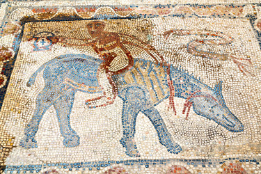 Similar image 8087898