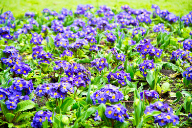 Similar image 8087903