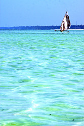 Similar image 8087919