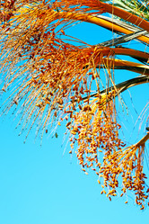 Similar image 8087921