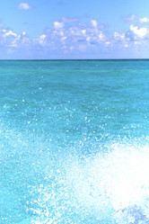 Similar image 8087925