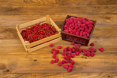 Similar image 8091178