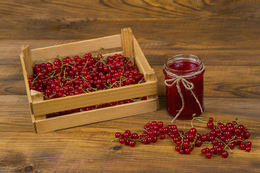 Similar image 8091179