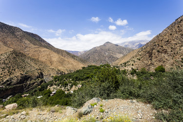 Similar image 8091491