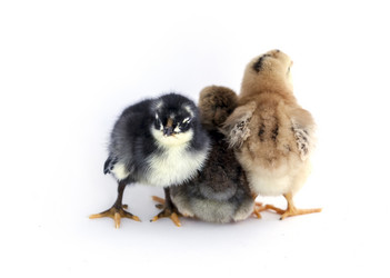 Similar image 8091493