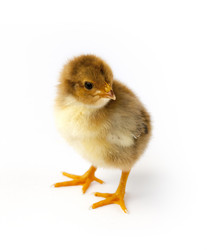 Similar image 8091494