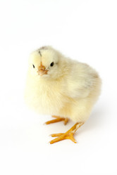 Similar image 8091495