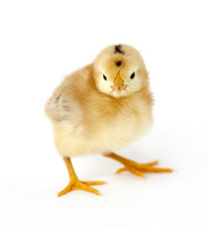 Similar image 8091497