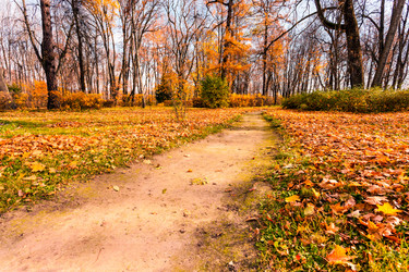 Similar image 8091501