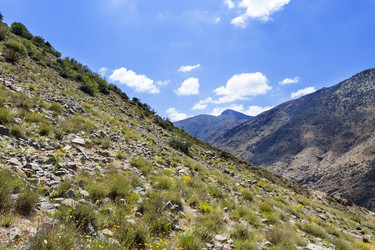 Similar image 8091503