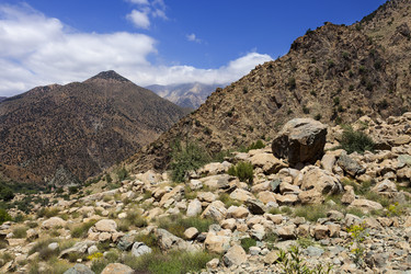 Similar image 8091504