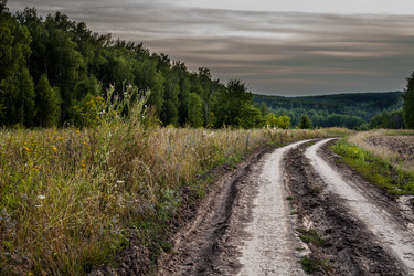 Similar image 8091512