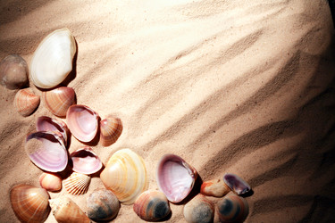 Similar image 8091795