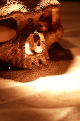 Similar image 8091796