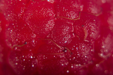 Similar image 8091871