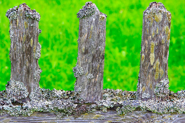 Similar image 8093066