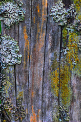 Similar image 8093067