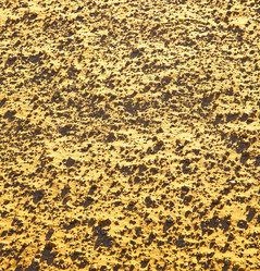 Similar image 8093779