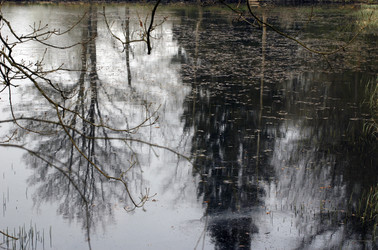 Similar image 8093793