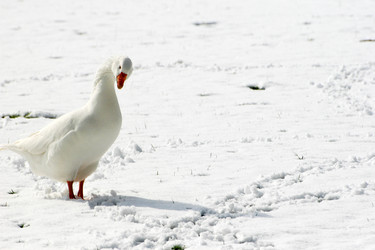 Similar image 8093794