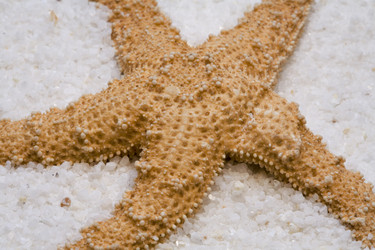 Similar image 8093800