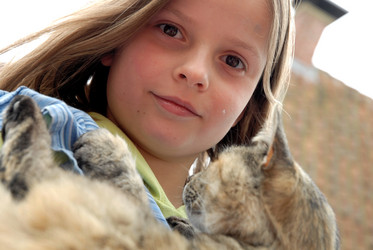 Similar image 8093806