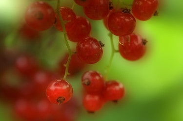 Similar image 8093808