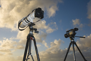 Similar image 8093813