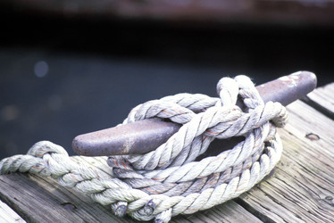 Similar image 8093816