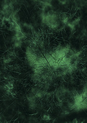 Similar image 8093823