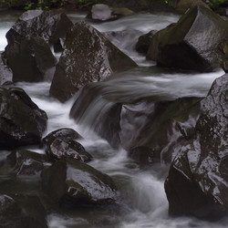 Similar image 8093826