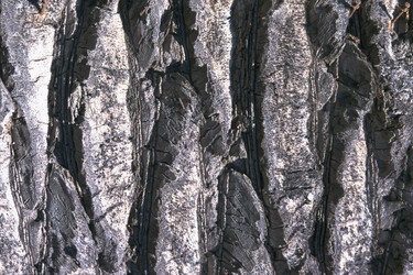 Similar image 8093834