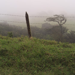 Similar image 8093847