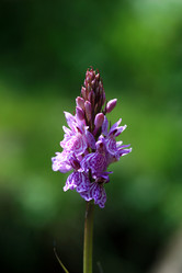 Similar image 8093849