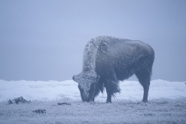 Similar image 8093855