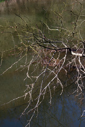 Similar image 8093859