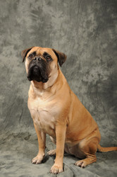 Similar image 8093866