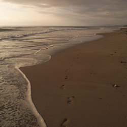 Similar image 8093876