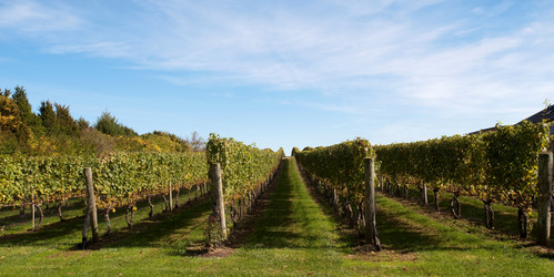 Similar image 8093890