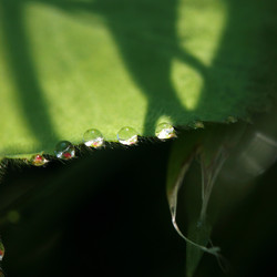 Similar image 8093894