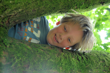 Similar image 8093901