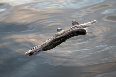 Similar image 8093902