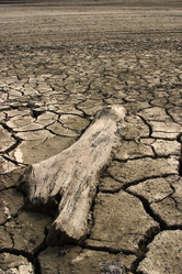 Similar image 8093919