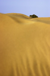 Similar image 8093924