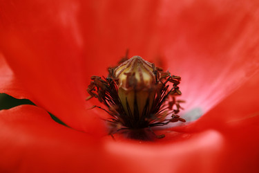 Similar image 8093929