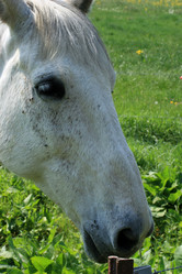 Similar image 8093937