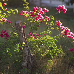 Similar image 8093942